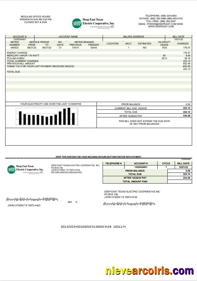 USA Deep East Texas Electric utility bill